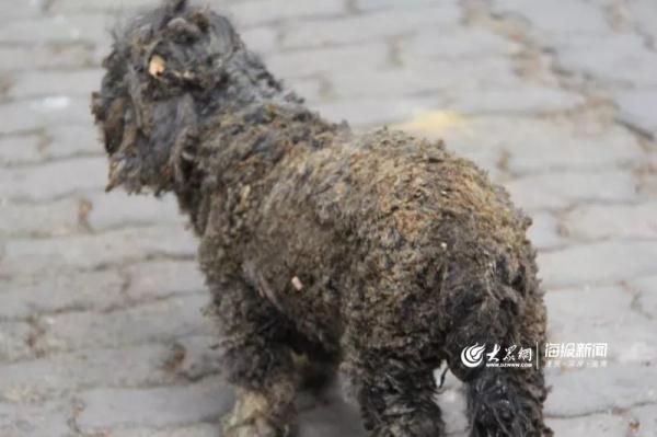 突發(fā)！青島一居民樓發(fā)生爆燃！已造1人死亡，7人受傷！3公里外有震感…